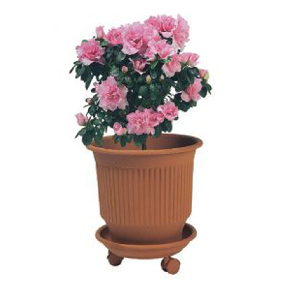 Striped Flower Pot